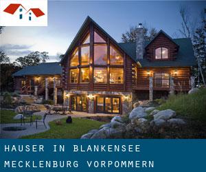 Häuser in Blankensee (Mecklenburg-Vorpommern)