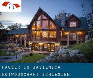 Häuser in Jasienica (Woiwodschaft Schlesien)